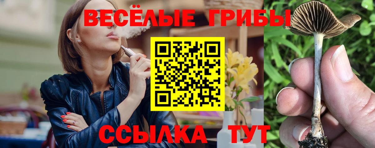 где купить наркоту  Галлюциногенные грибы ЛСД  Вход с VPN  Балтийск 